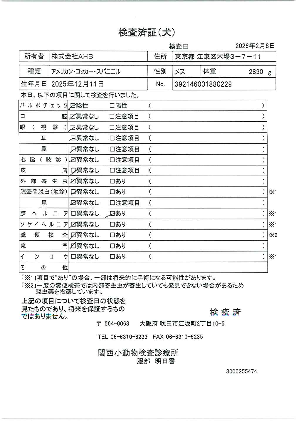 アメリカン・コッカー・スパニエル