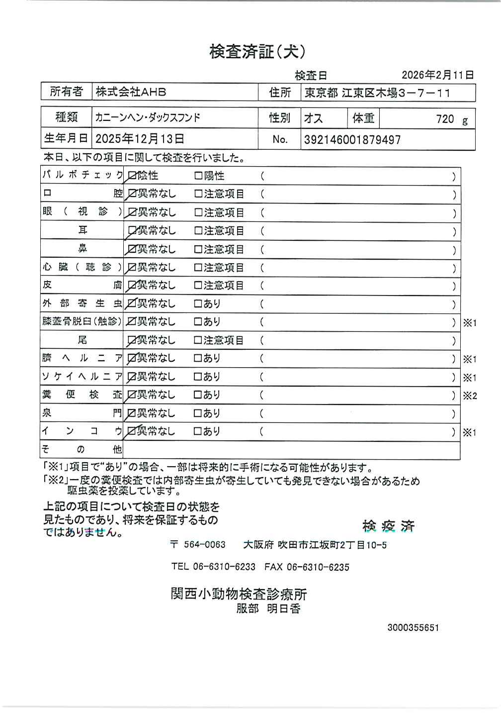 カニーンヘン・ダックスフンド