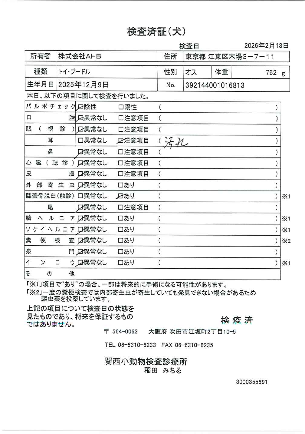 トイ・プードル