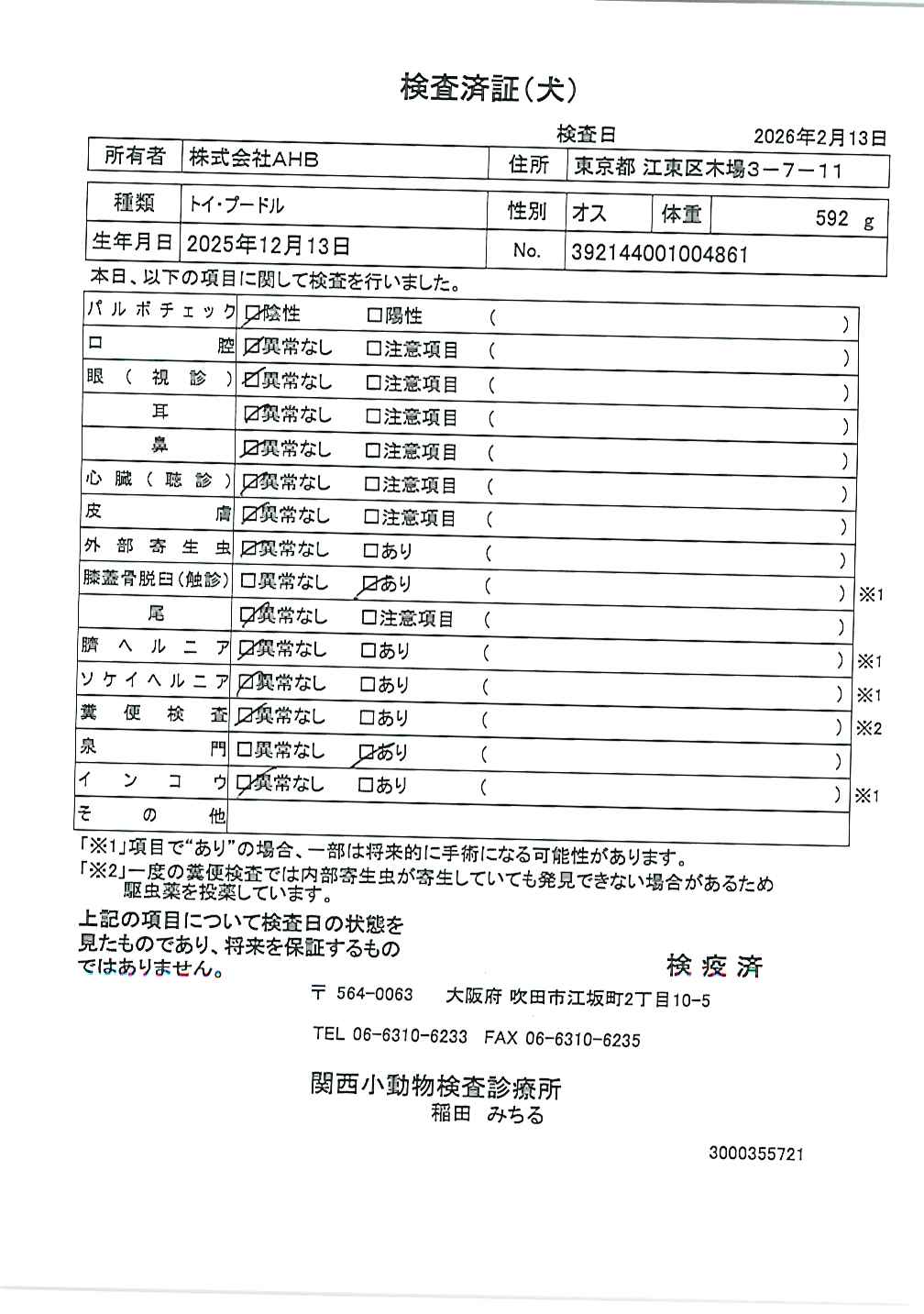 トイ・プードル