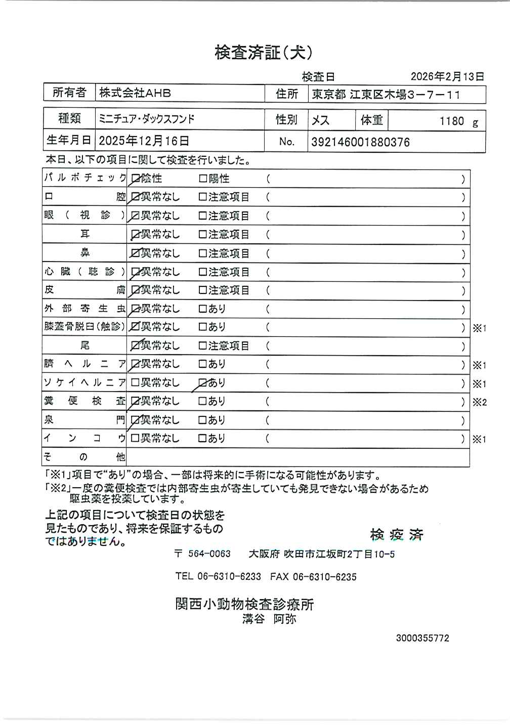 ミニチュア・ダックスフンド
