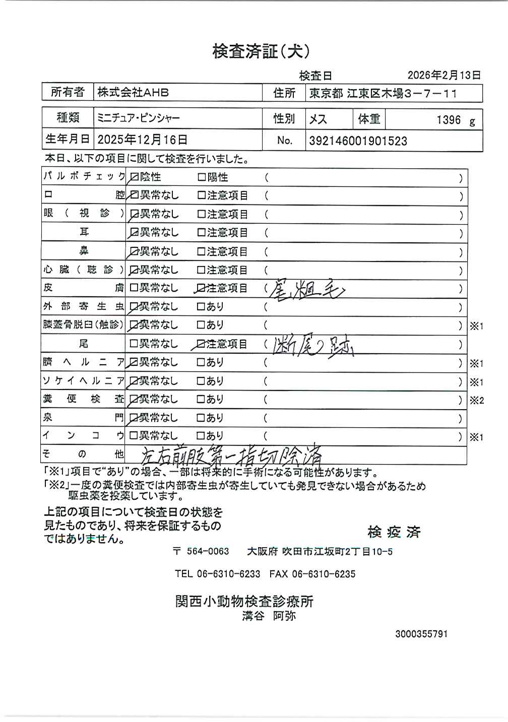 ミニチュア・ピンシャー