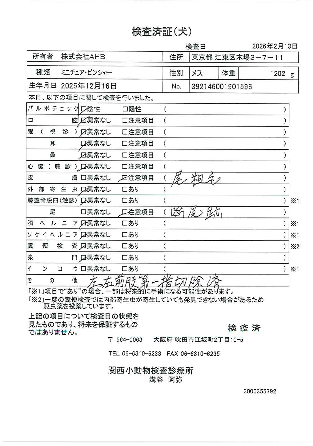 ミニチュア・ピンシャー