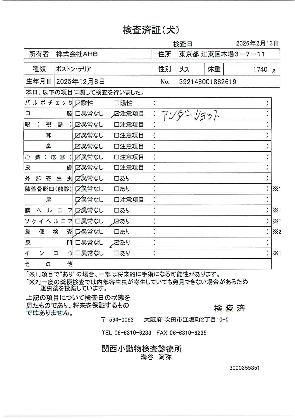 ボストン・テリア