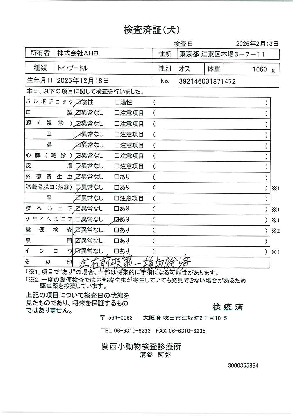 トイ・プードル