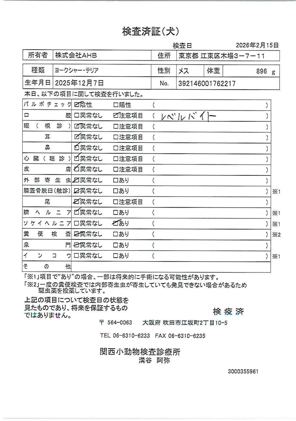 ヨークシャー・テリア