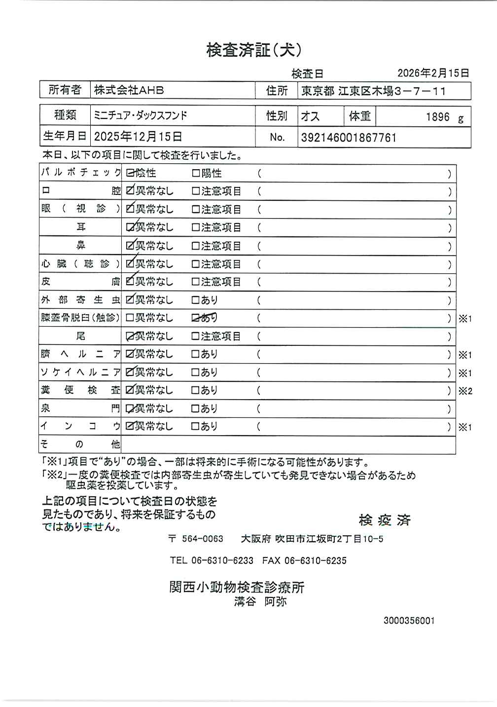 ミニチュア・ダックスフンド