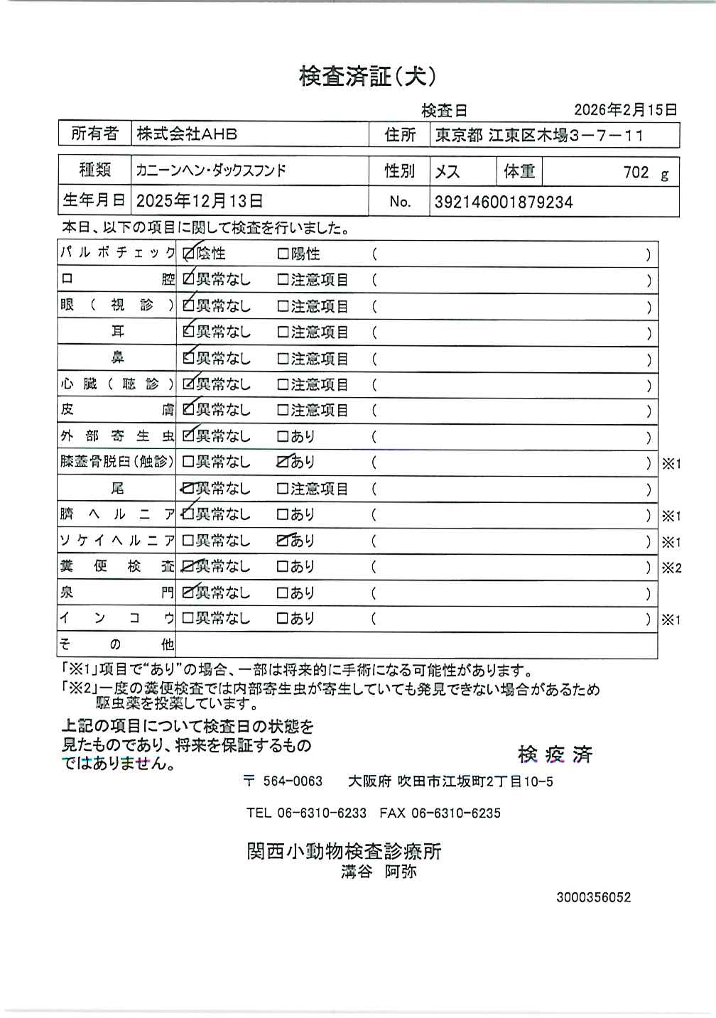 カニーンヘン・ダックスフンド