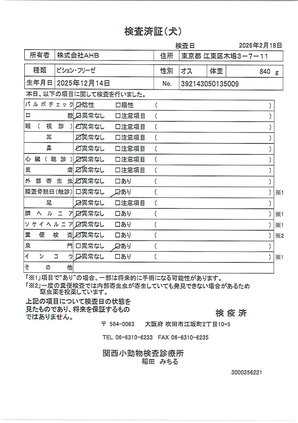 ビション・フリーゼ