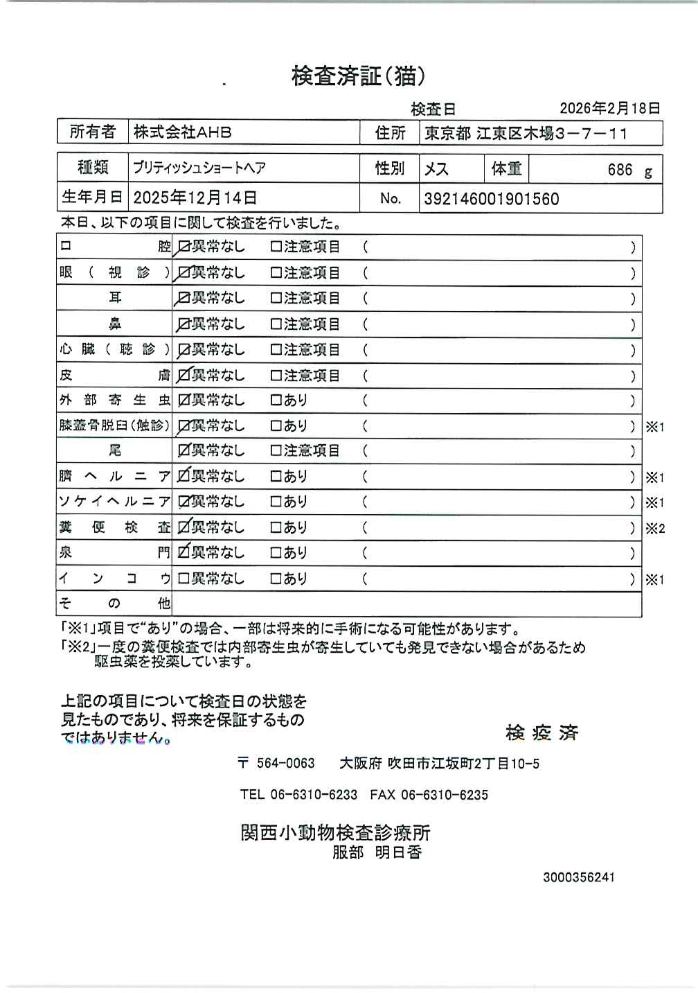 ブリティッシュショートヘア