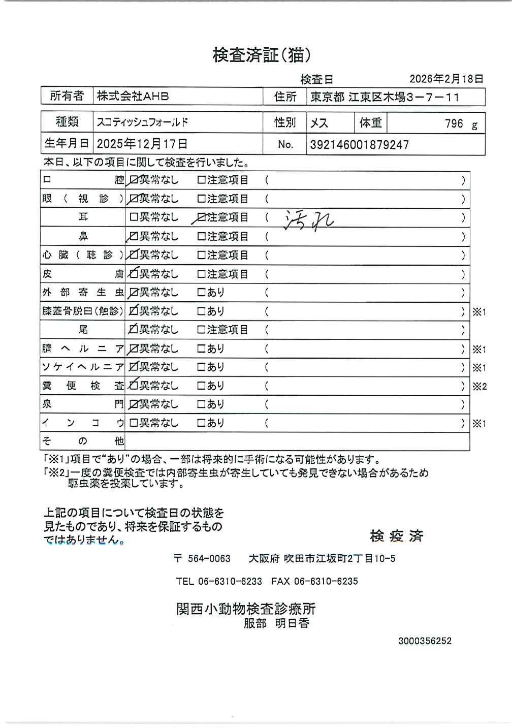 スコティッシュフォールド