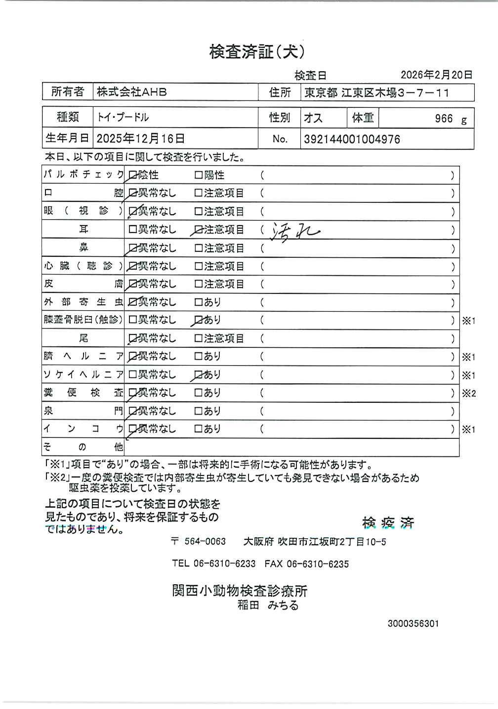 トイ・プードル