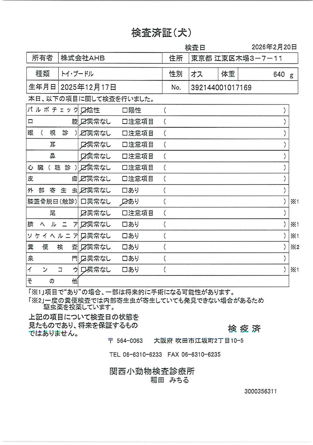 トイ・プードル
