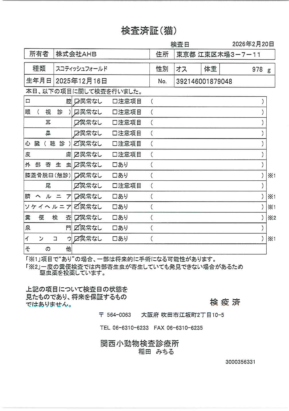 スコティッシュフォールド