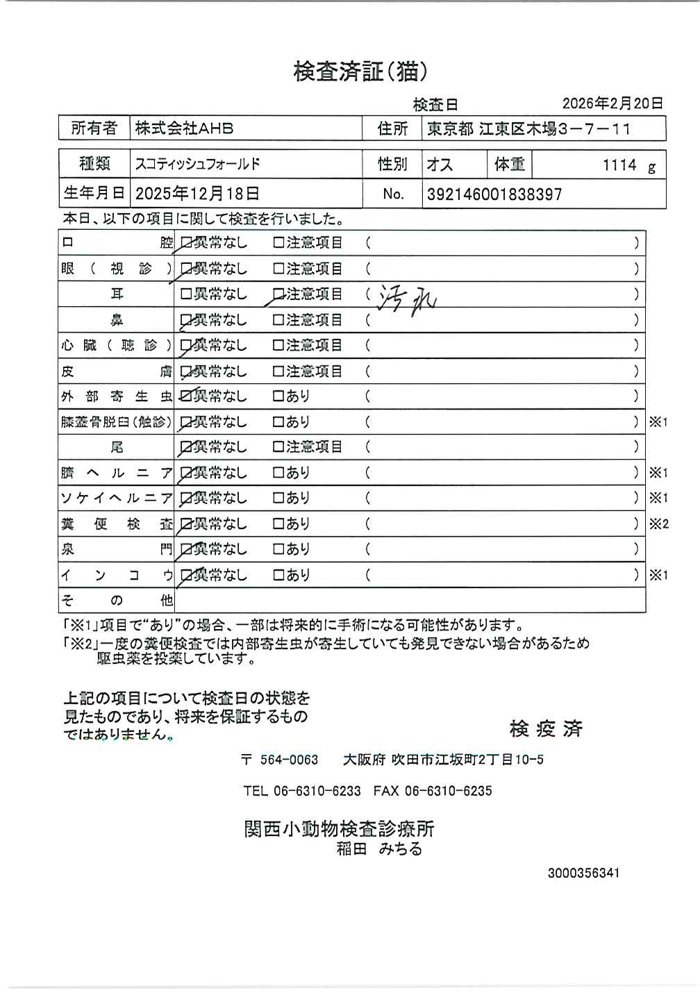 スコティッシュフォールド