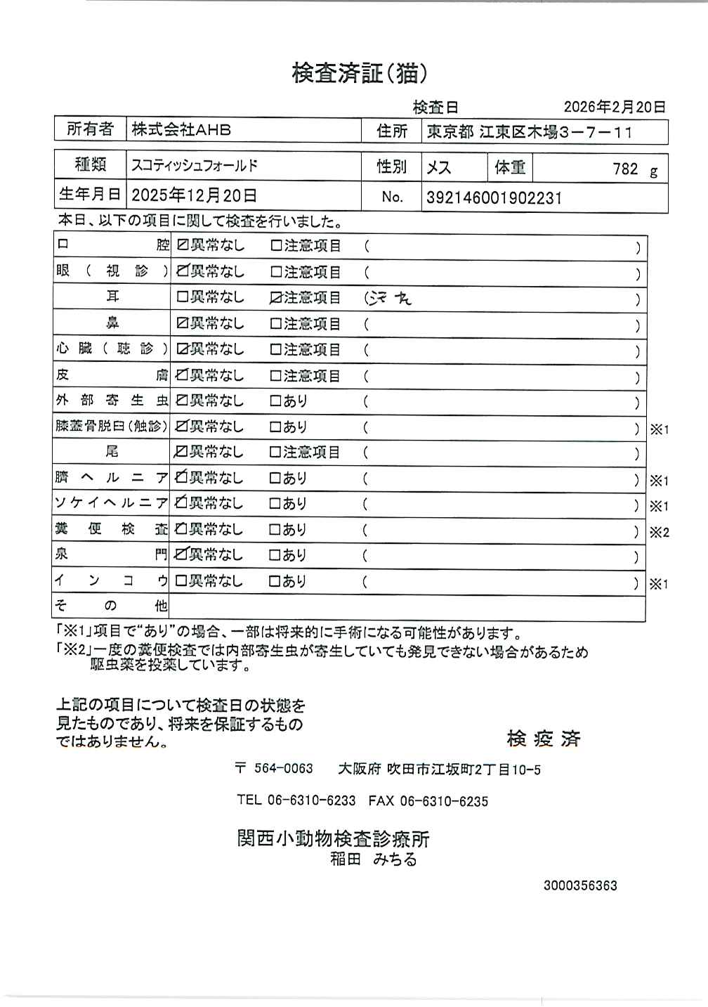 スコティッシュフォールド