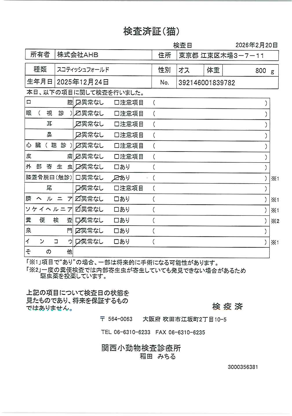 スコティッシュフォールド