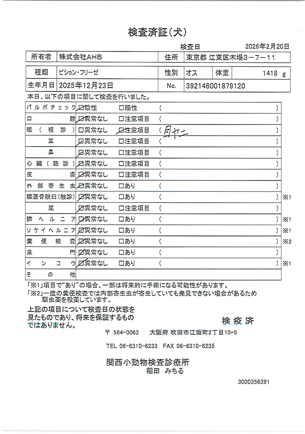 ビション・フリーゼ