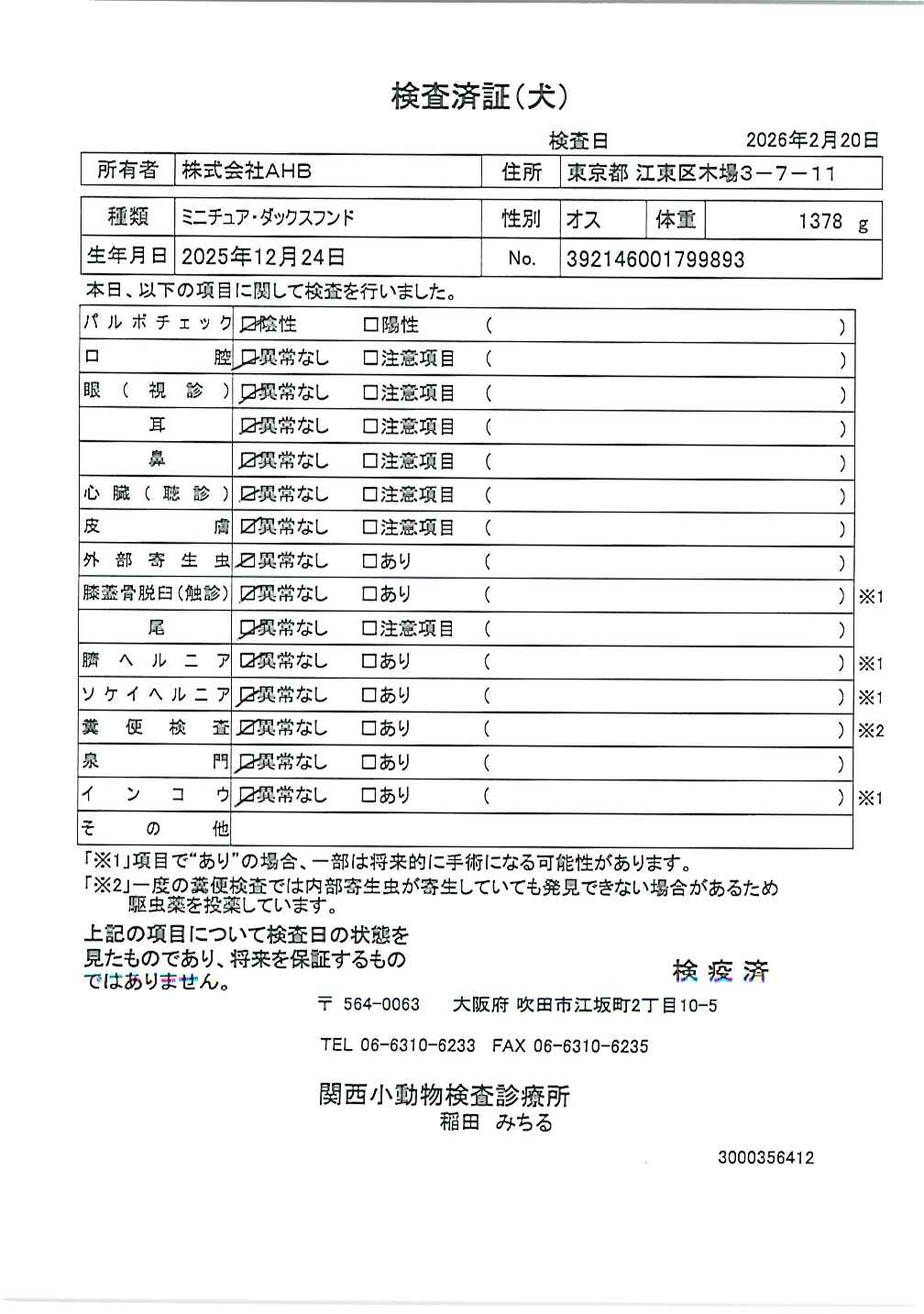 ミニチュア・ダックスフンド