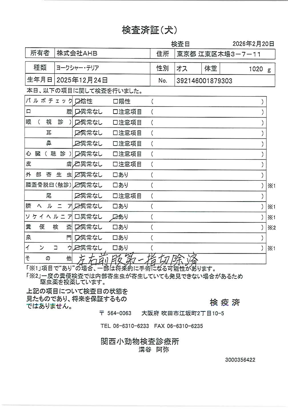 ヨークシャー・テリア