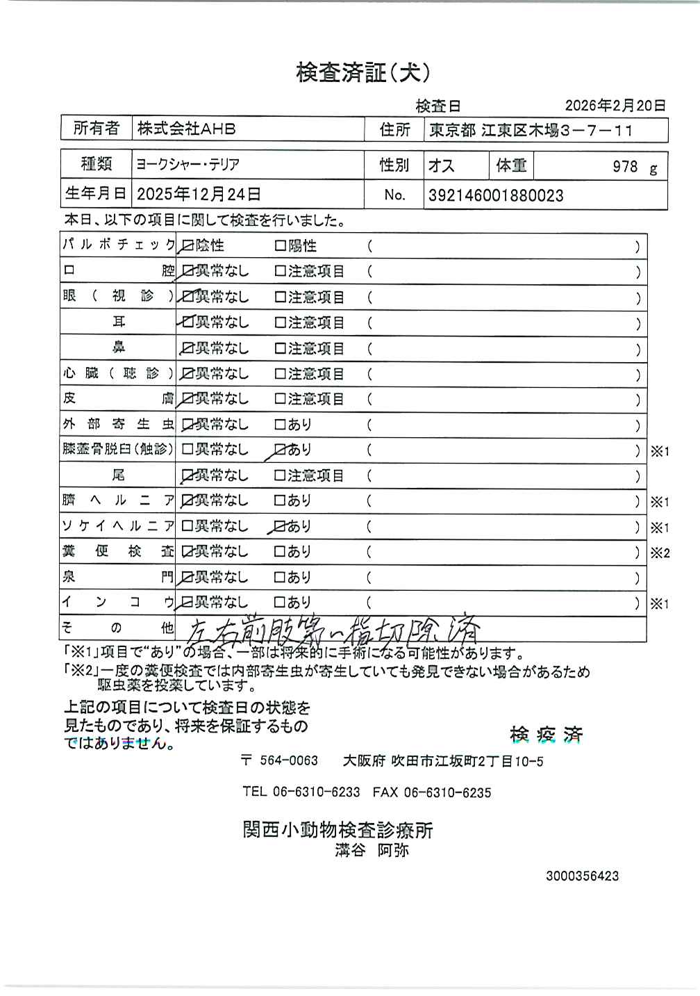ヨークシャー・テリア