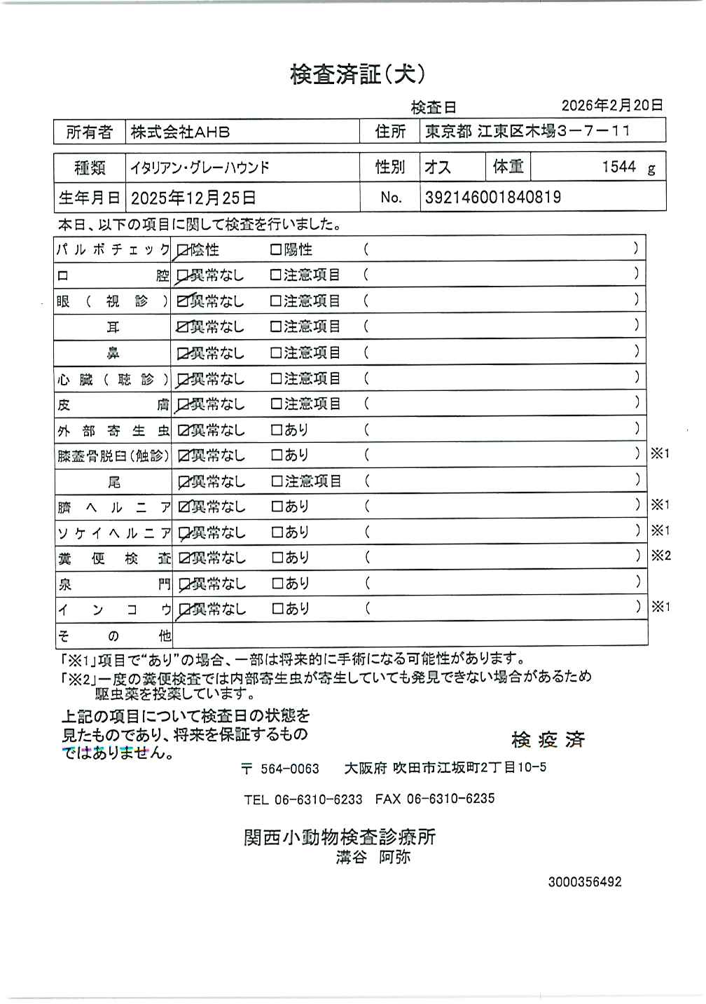 イタリアン・グレーハウンド
