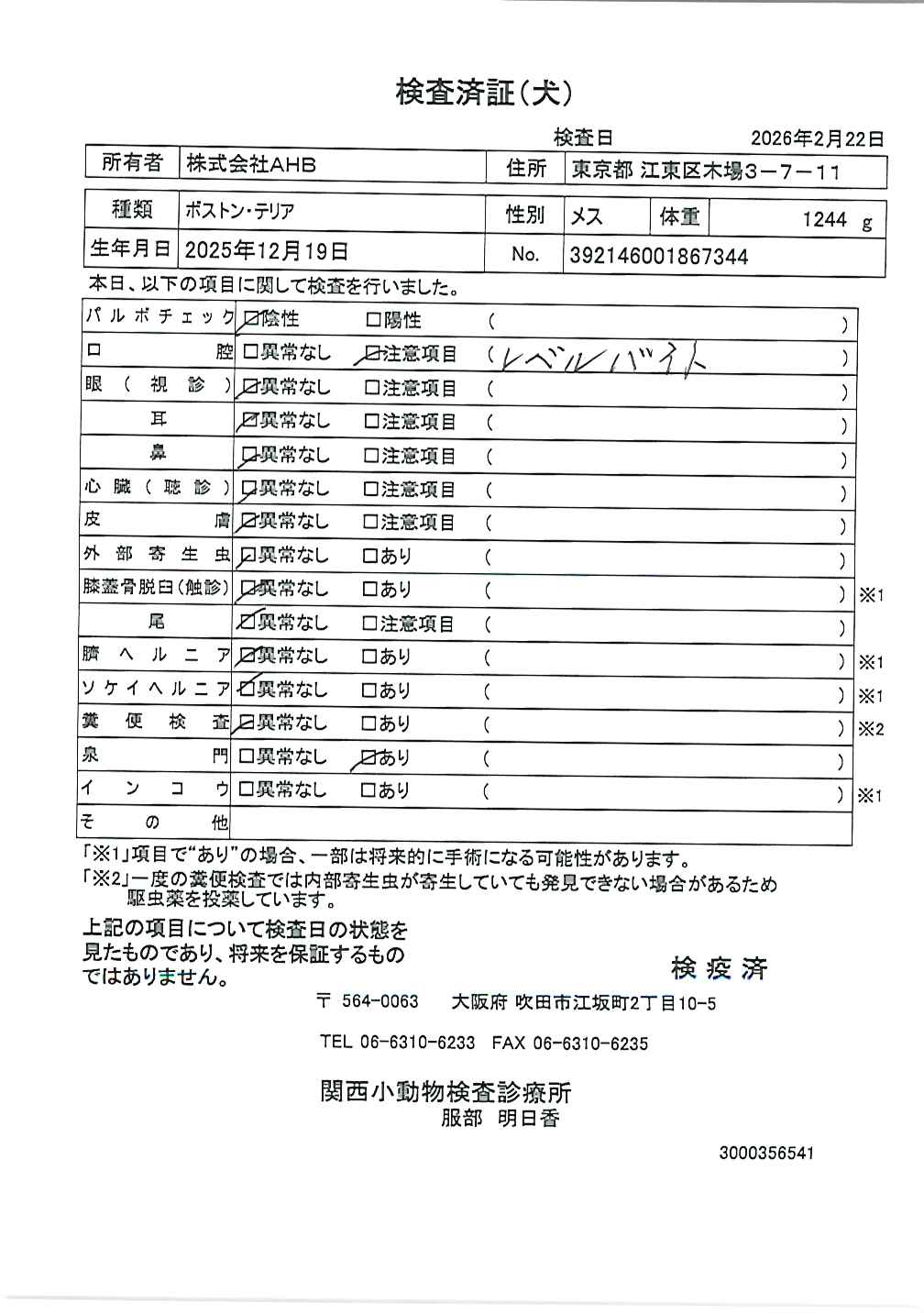 ボストン・テリア