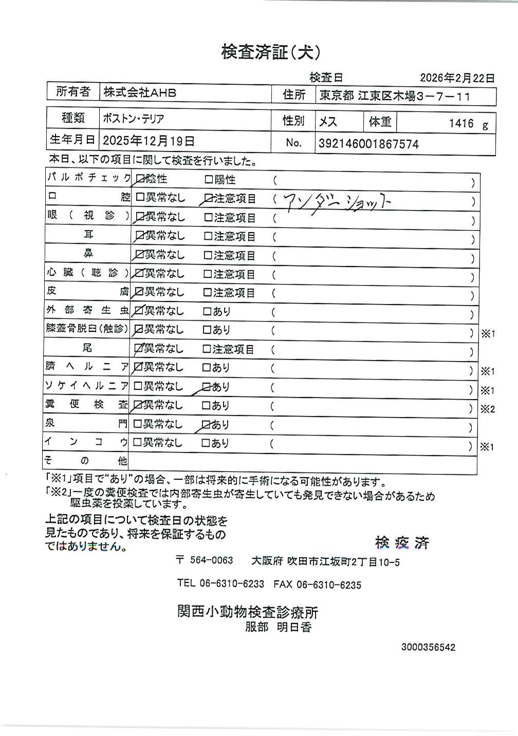 ボストン・テリア