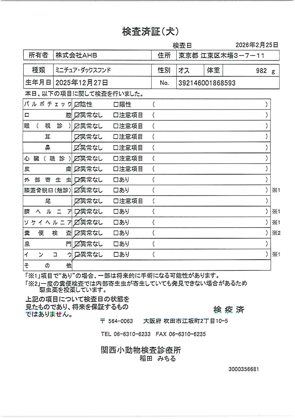 ミニチュア・ダックスフンド