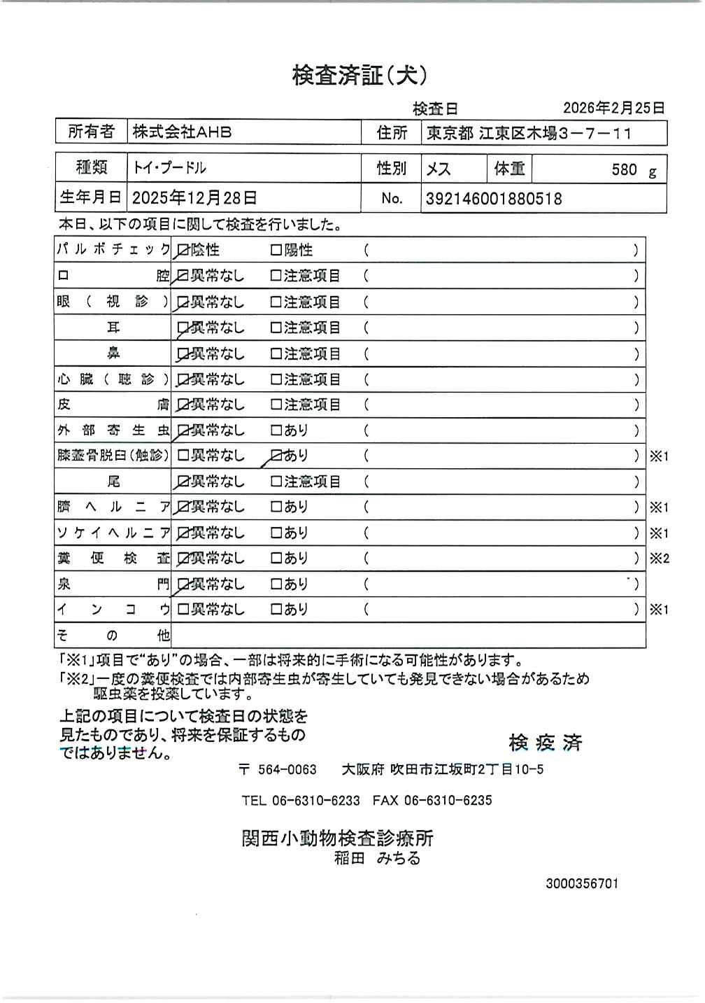 トイ・プードル
