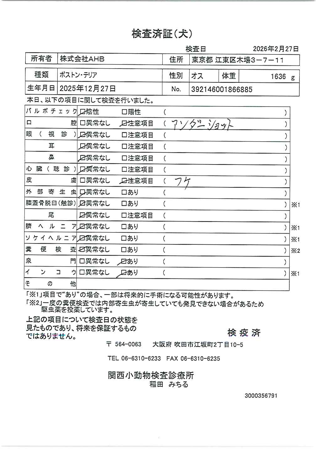 ボストン・テリア