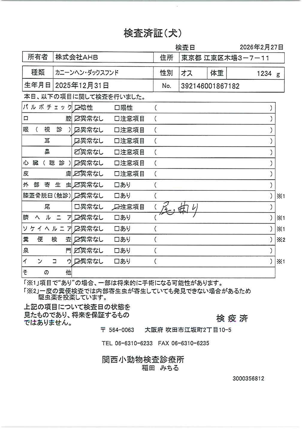 カニーンヘン・ダックスフンド