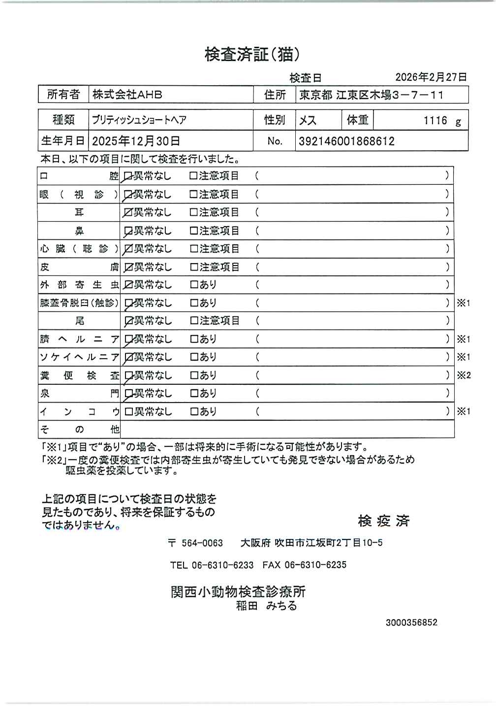 ブリティッシュショートヘア