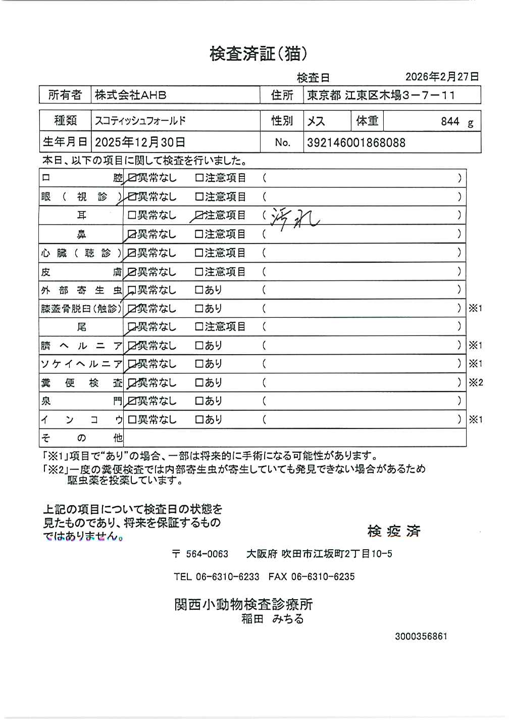 スコティッシュフォールド