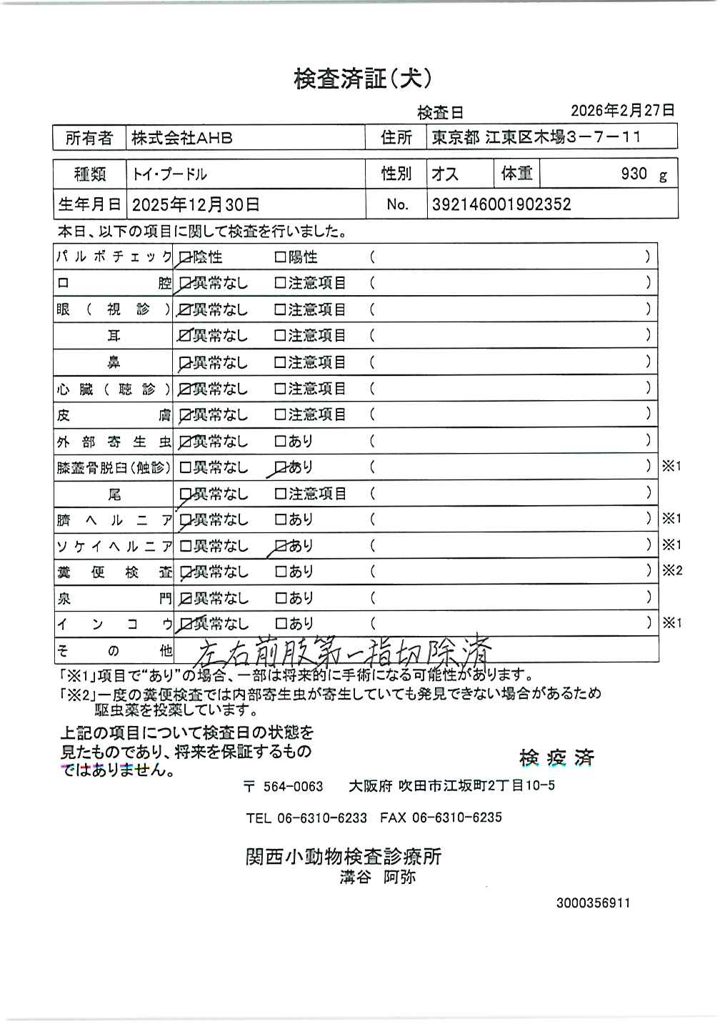 トイ・プードル