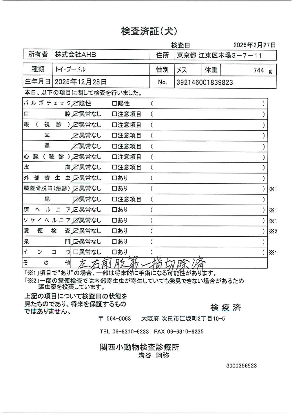 トイ・プードル