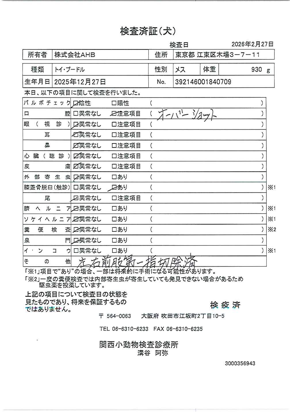 トイ・プードル