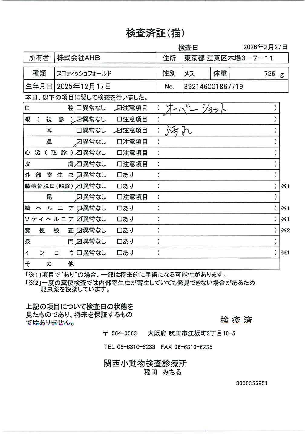 スコティッシュフォールド