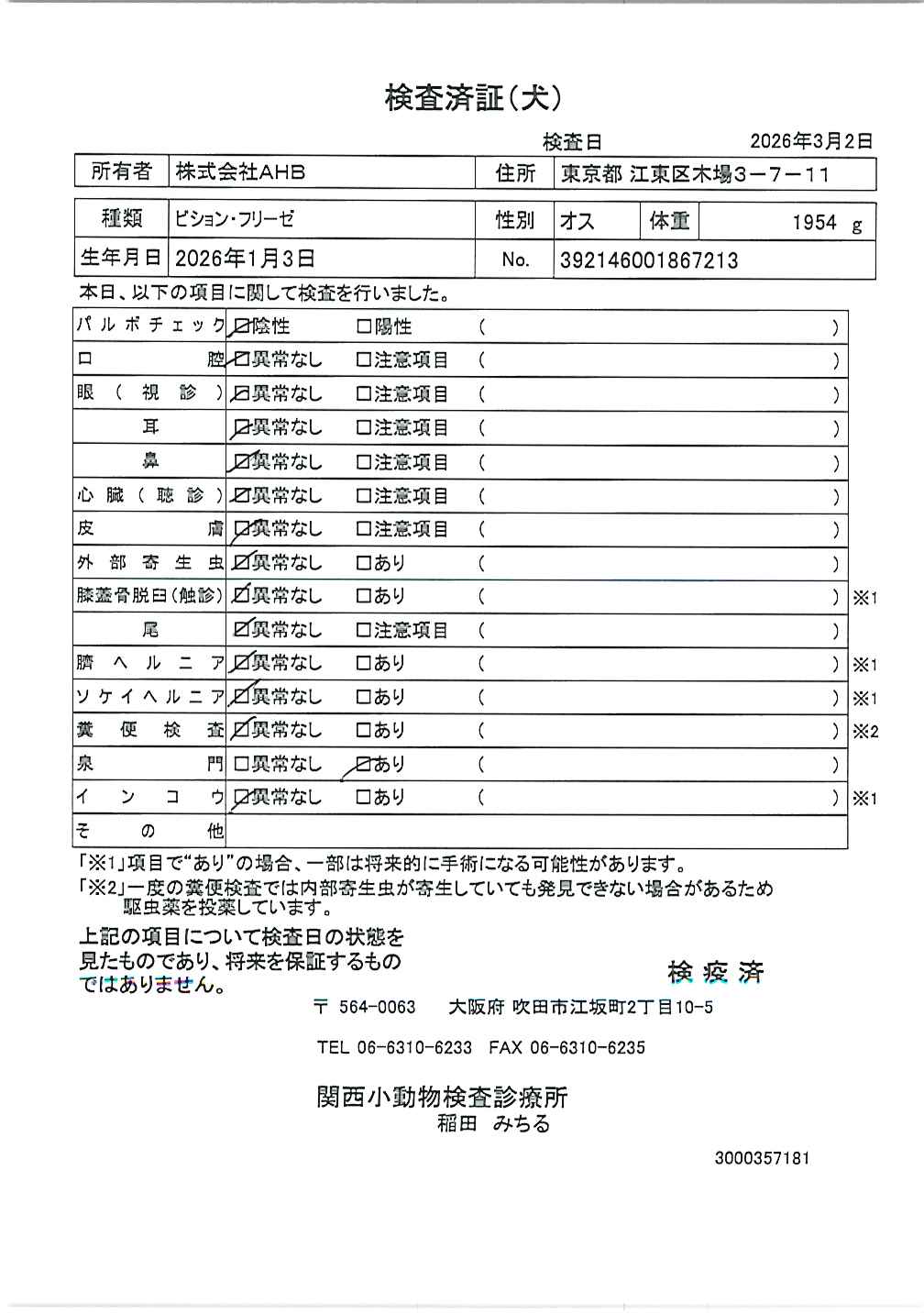 ビション・フリーゼ