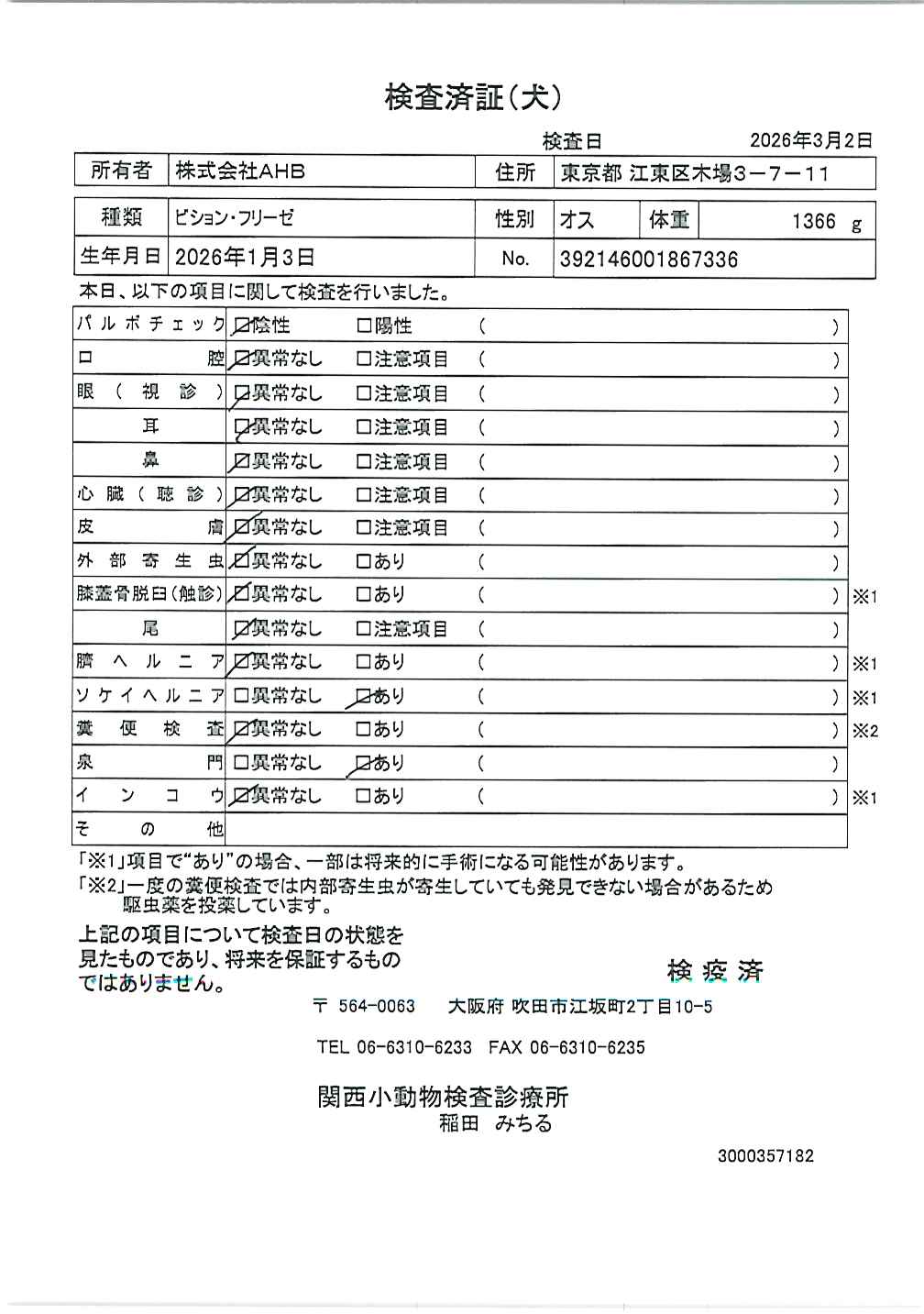 ビション・フリーゼ