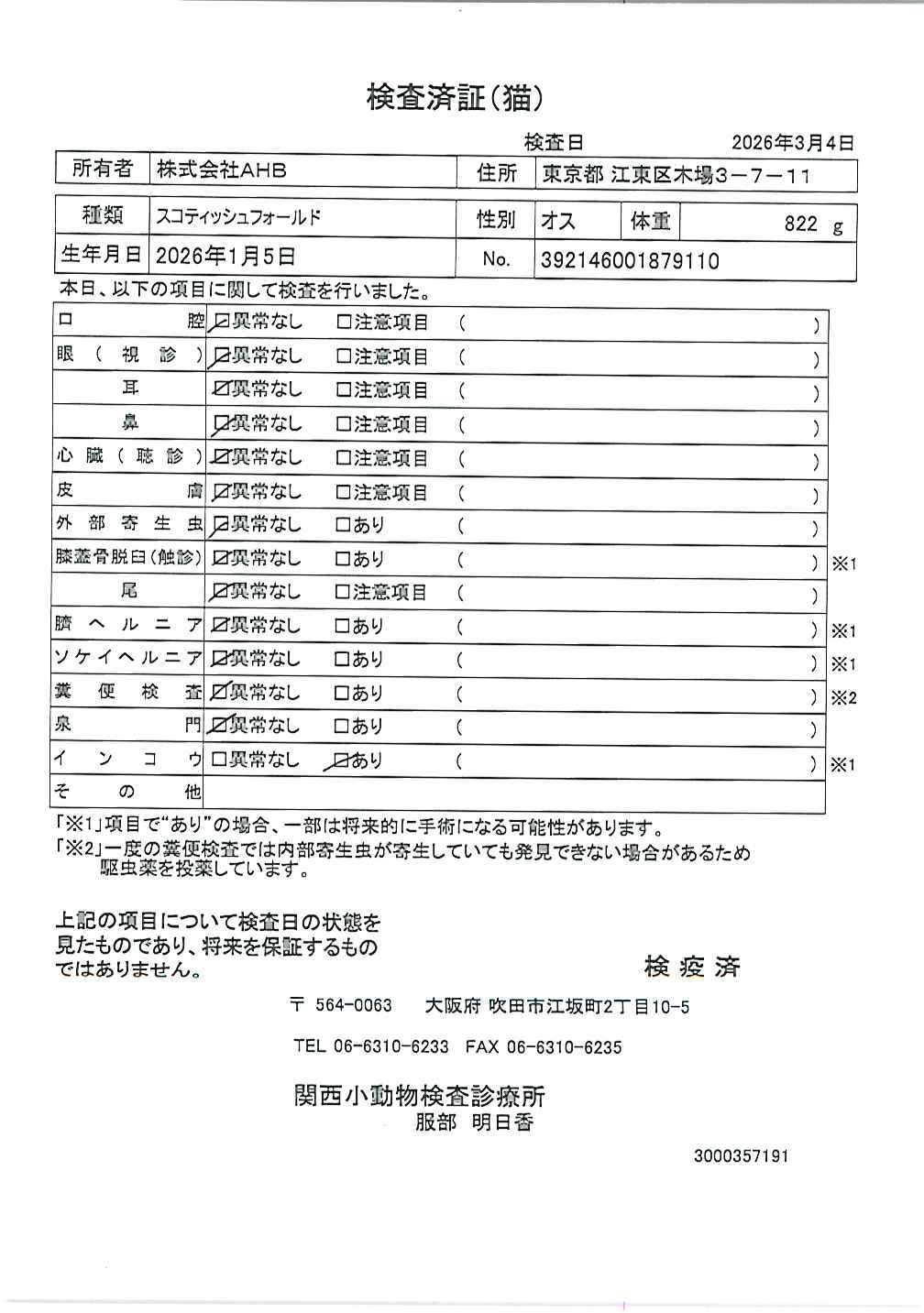 スコティッシュフォールド