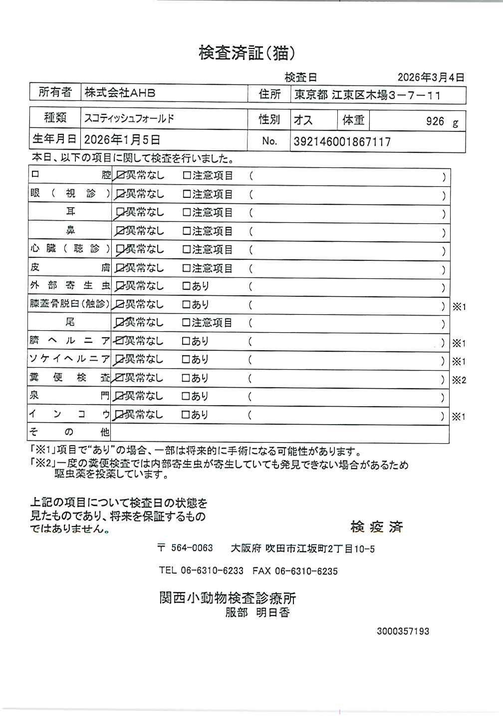 スコティッシュフォールド