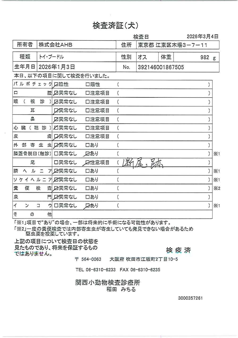 トイ・プードル