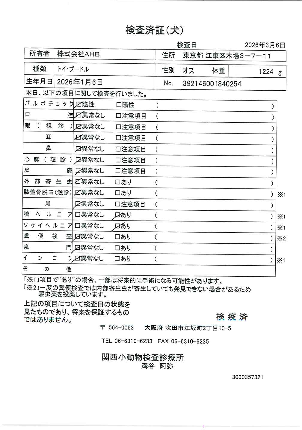 トイ・プードル
