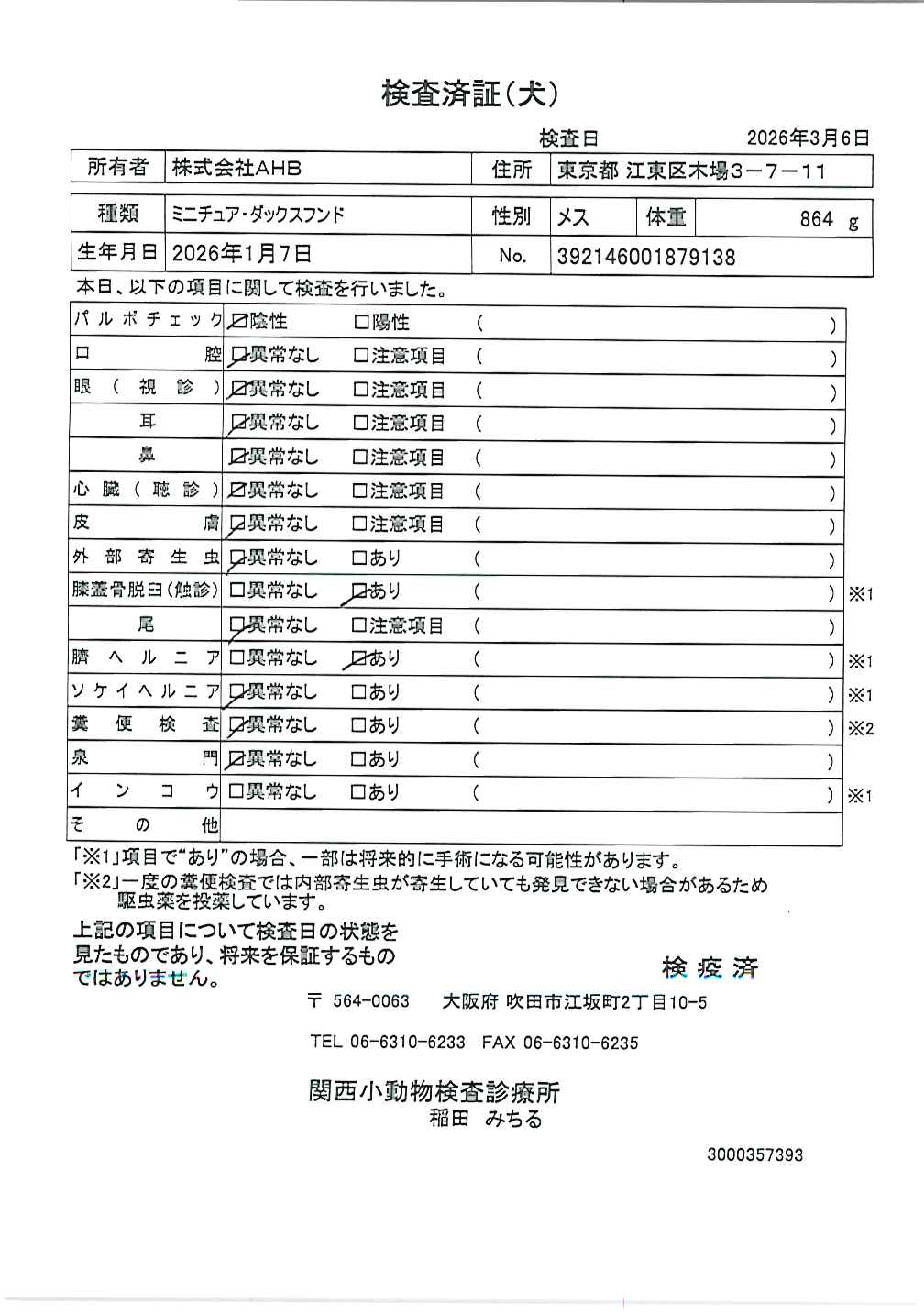 ミニチュア・ダックスフンド