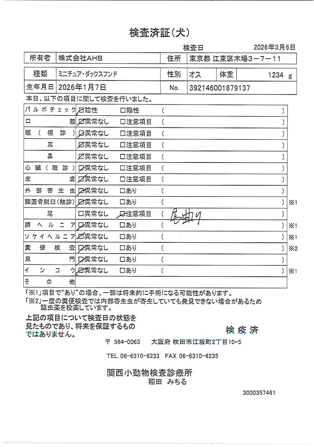 ミニチュア・ダックスフンド