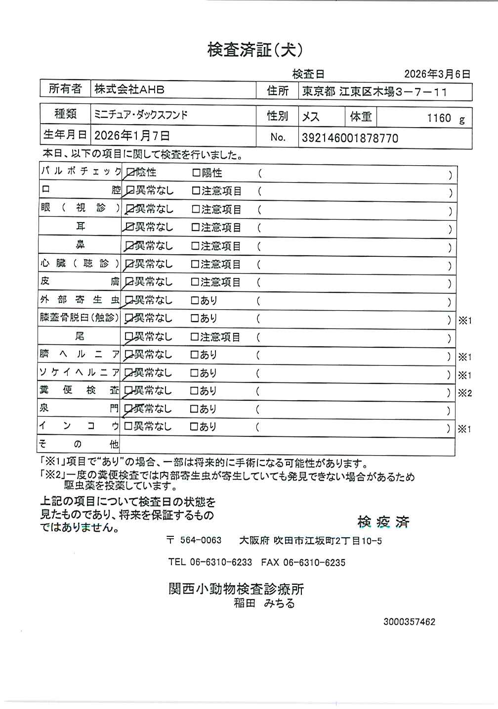 ミニチュア・ダックスフンド