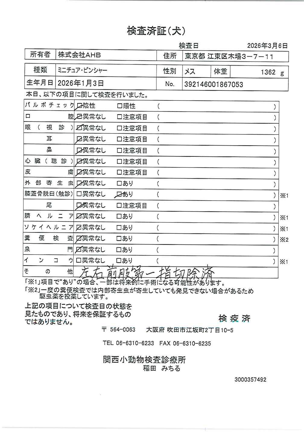ミニチュア・ピンシャー
