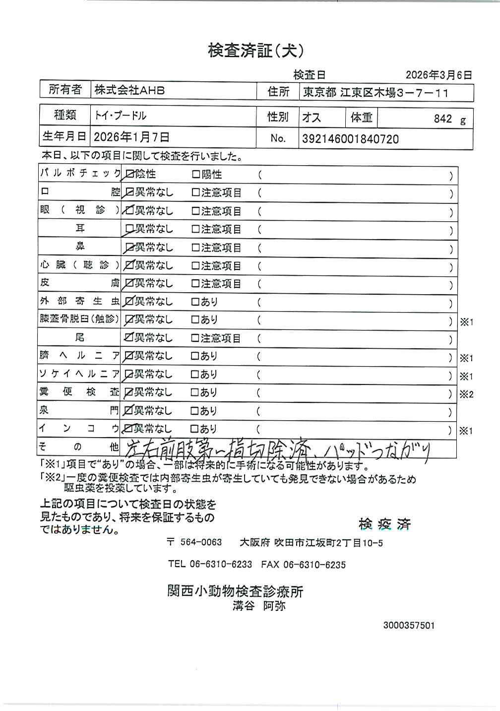 トイ・プードル