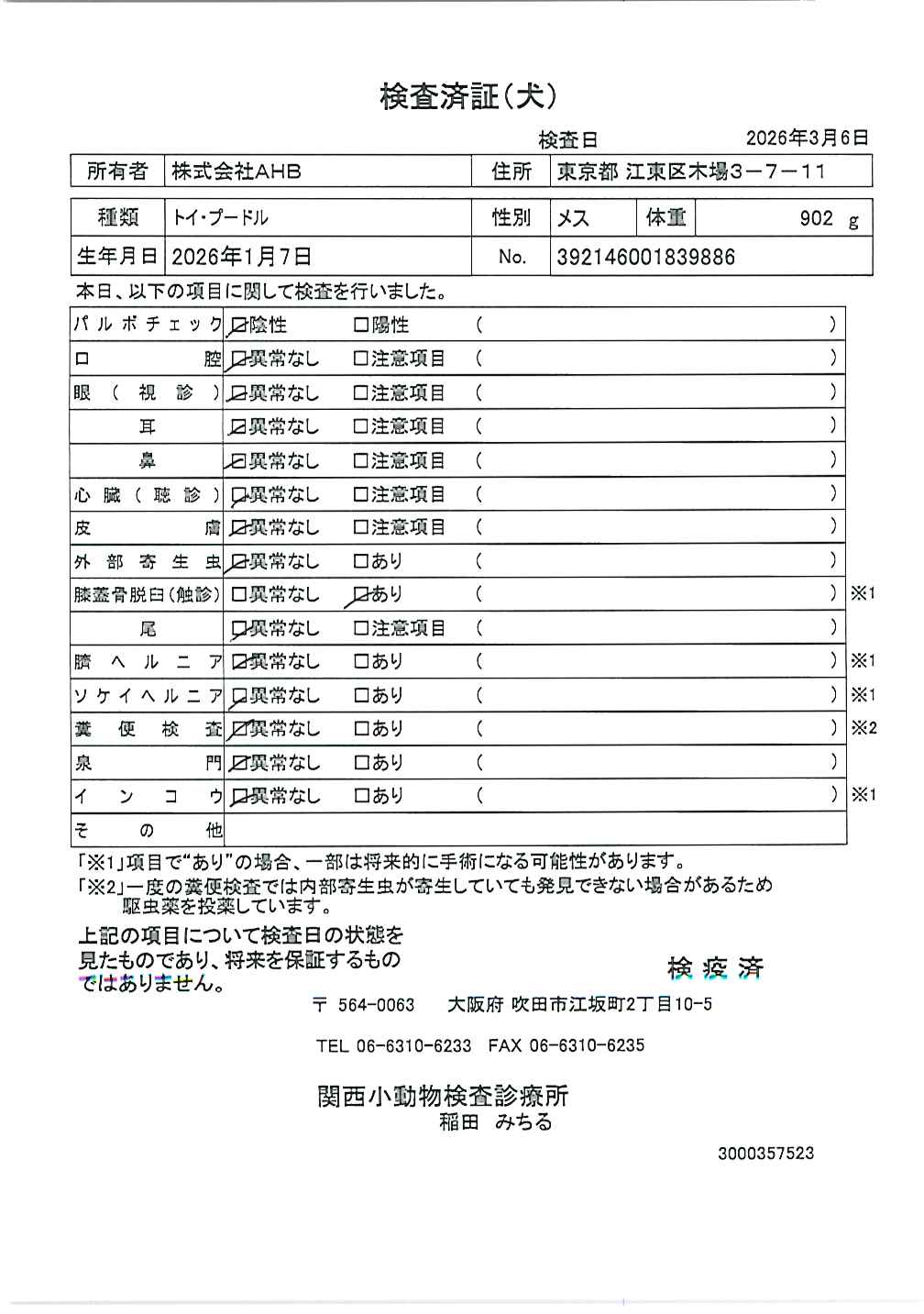 トイ・プードル